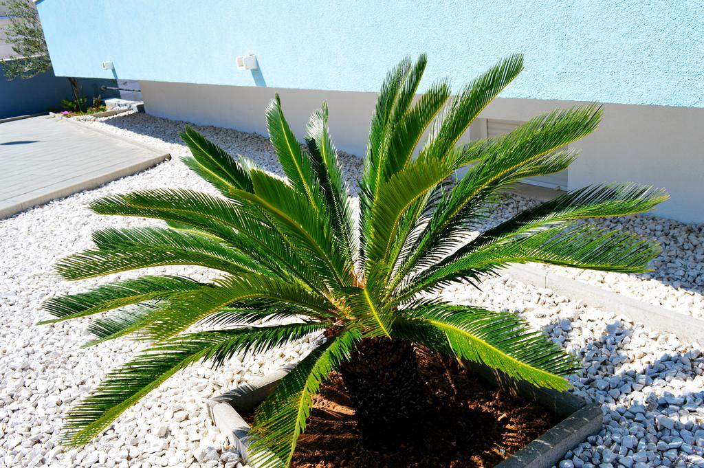 Permarinus Apartments Podstrana Exterior photo